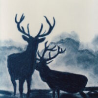 "Oh Deer"