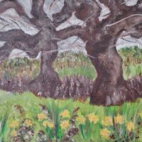The Great Oriental Plane Tree