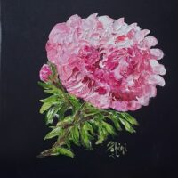 Peony Power